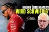 Bild zum Inhalt: Helmut Marko: Scheitert Lewis Hamilton bei Ferrari?